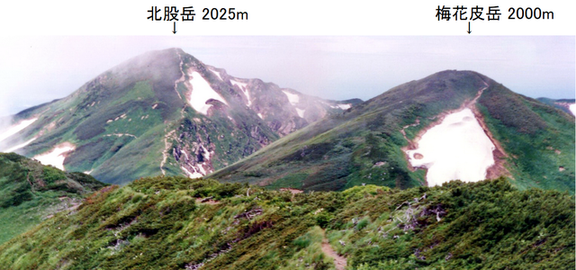 19890726p21x_北股岳へ.bmp